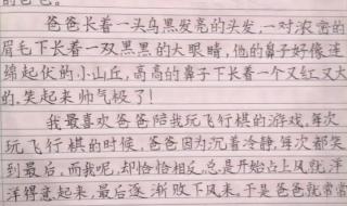 三年级25篇170日记 1一3年级日记