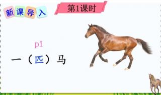 一匹出色的马课文阅读感想是什么 一匹出色的马课文