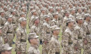 游泳世锦赛男子100米决赛什么时间 2022田径锦标赛女子100米栏决赛都有谁